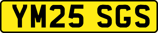YM25SGS