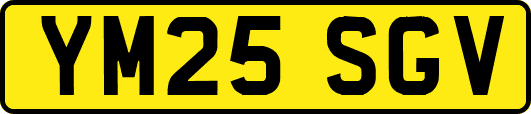 YM25SGV