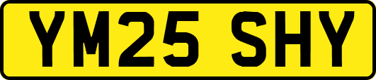 YM25SHY