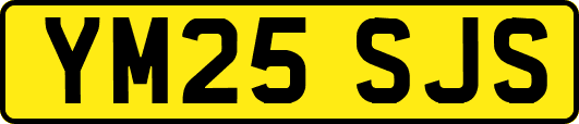 YM25SJS