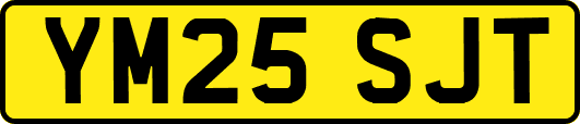 YM25SJT