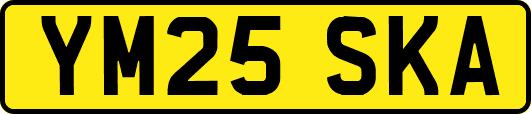 YM25SKA