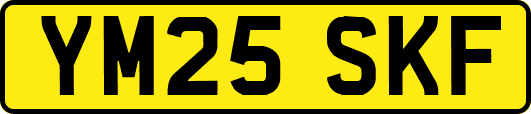 YM25SKF