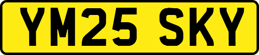 YM25SKY