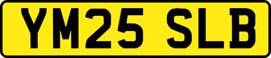 YM25SLB