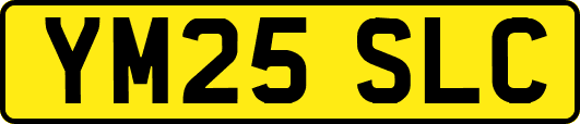 YM25SLC
