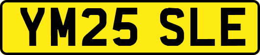 YM25SLE