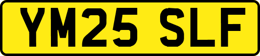 YM25SLF
