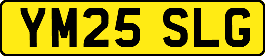 YM25SLG