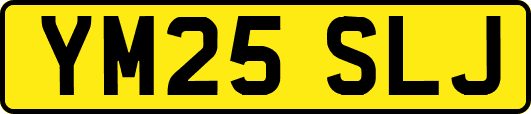 YM25SLJ