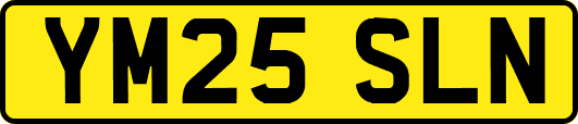YM25SLN