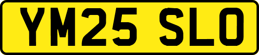 YM25SLO