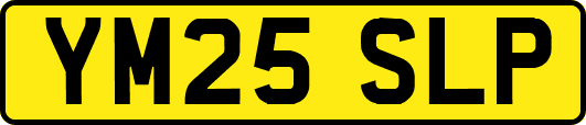YM25SLP