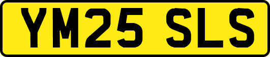 YM25SLS