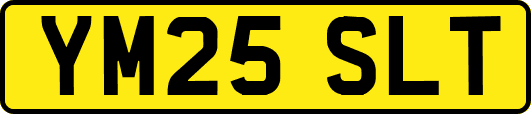 YM25SLT