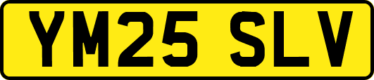 YM25SLV