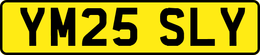 YM25SLY