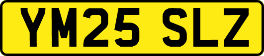 YM25SLZ