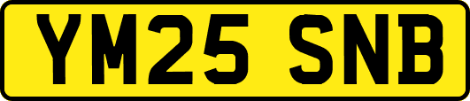 YM25SNB