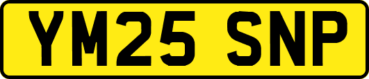 YM25SNP