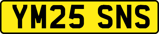 YM25SNS