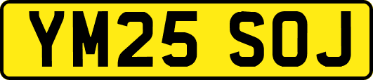 YM25SOJ