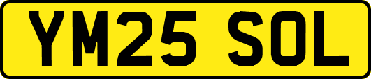 YM25SOL