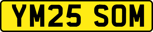 YM25SOM