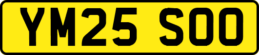 YM25SOO