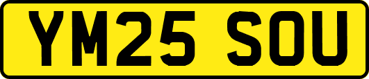 YM25SOU
