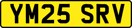 YM25SRV