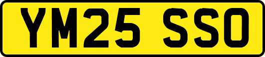 YM25SSO