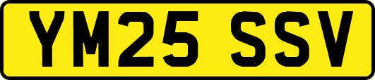 YM25SSV