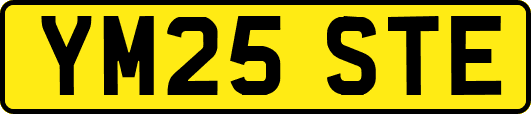 YM25STE