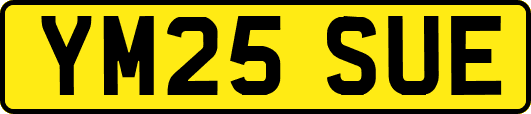 YM25SUE