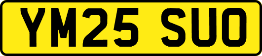 YM25SUO