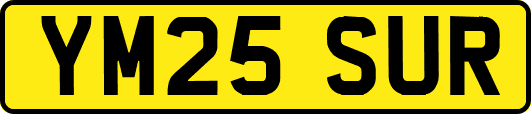 YM25SUR