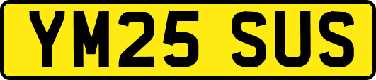 YM25SUS