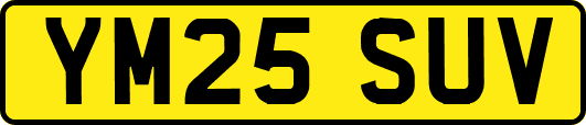 YM25SUV