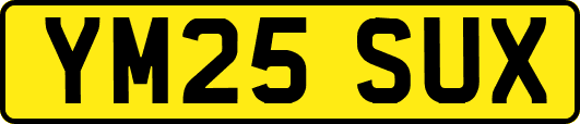 YM25SUX