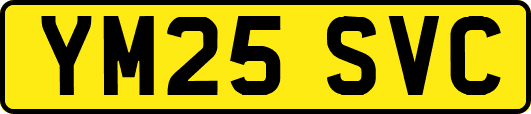 YM25SVC