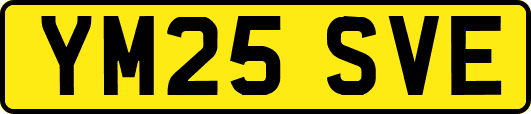 YM25SVE