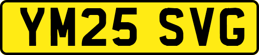YM25SVG