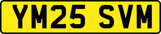 YM25SVM
