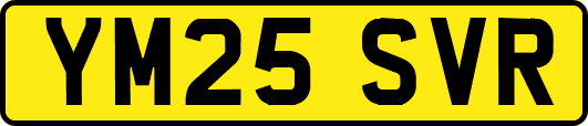 YM25SVR