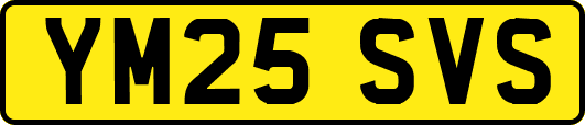 YM25SVS