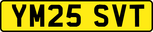 YM25SVT