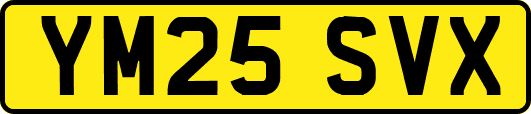 YM25SVX