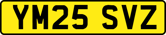 YM25SVZ