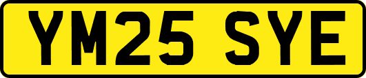 YM25SYE